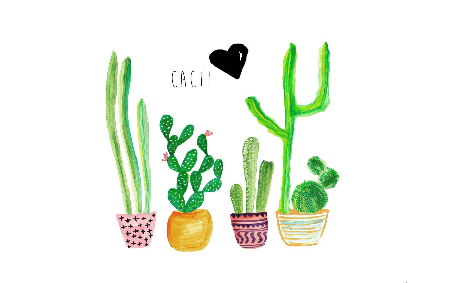 Cute Cacti Love Cactus Wallpaper