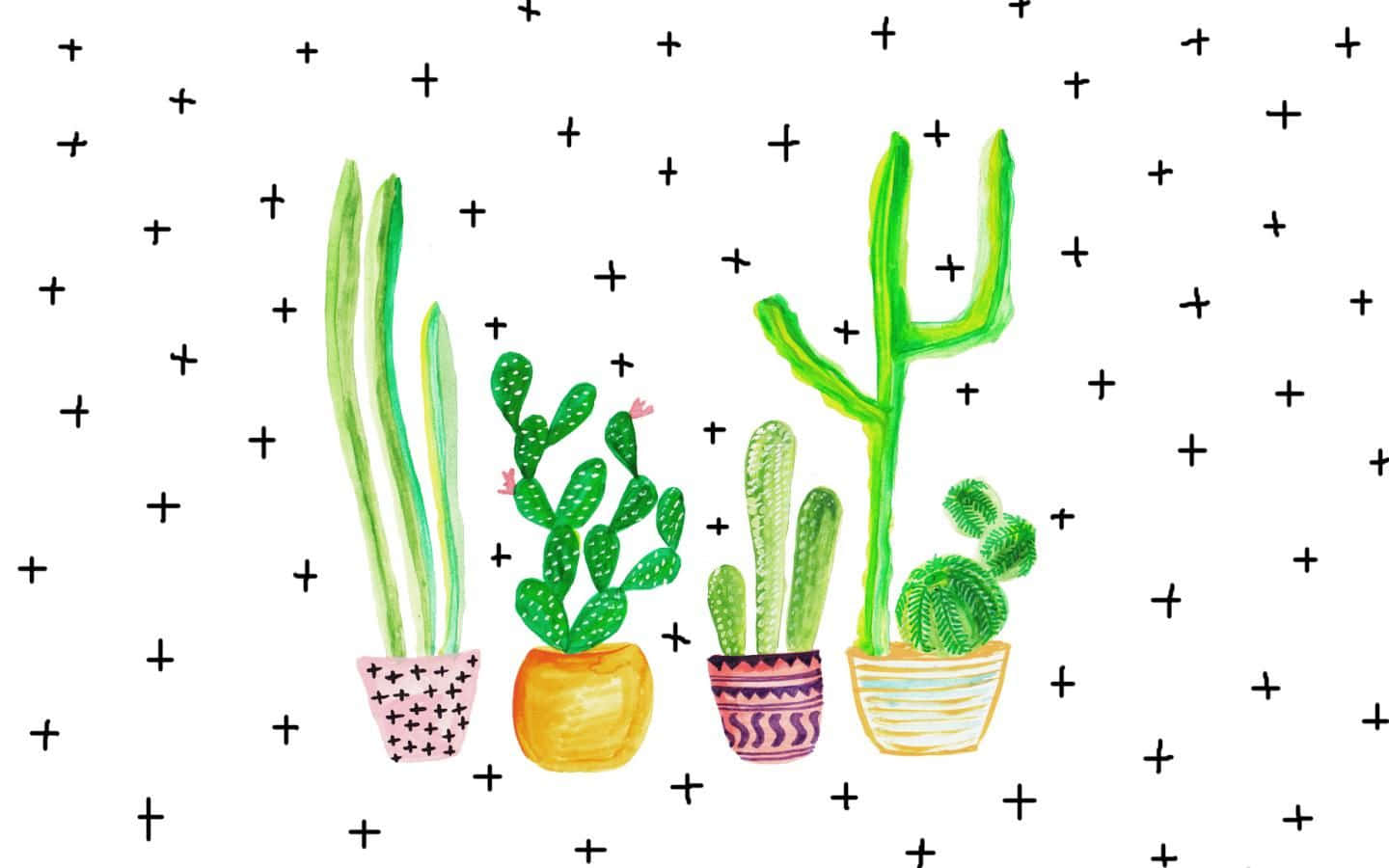 Cute Cactus White Background Wallpaper