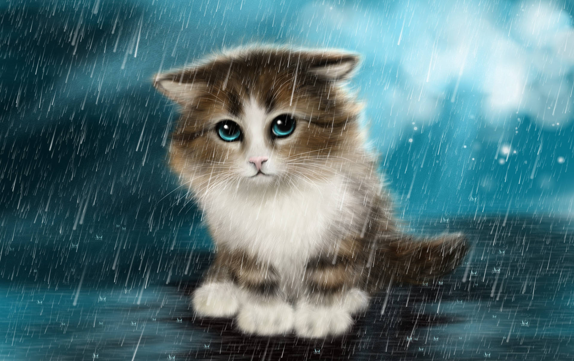 Cute Cat In The Rain Wallpaper