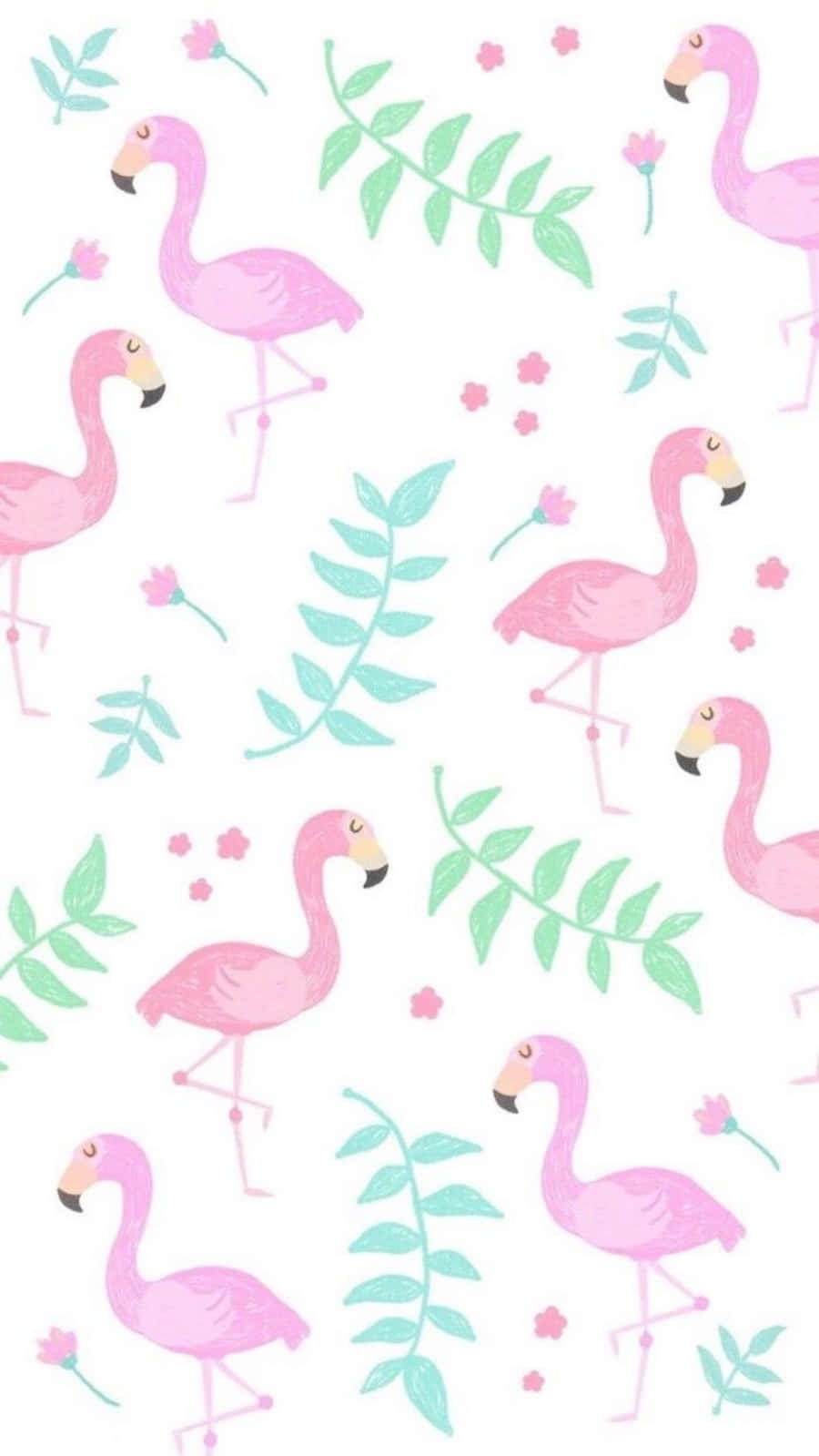 Cute Flamingo Birds Girly Tumblr Wallpaper