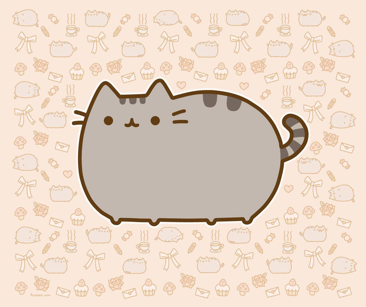 Cute Ipad Pusheen Cat Wallpaper