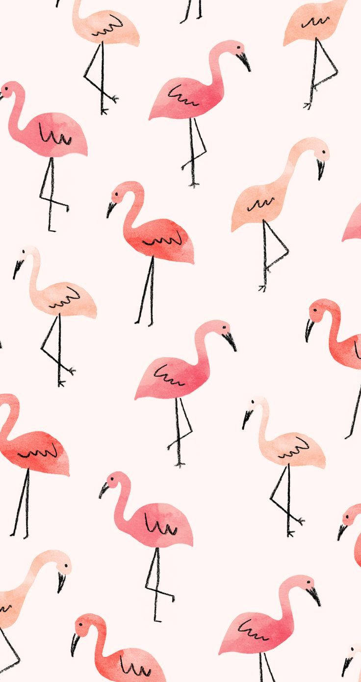 Cute Pink Flamingoes Wallpaper