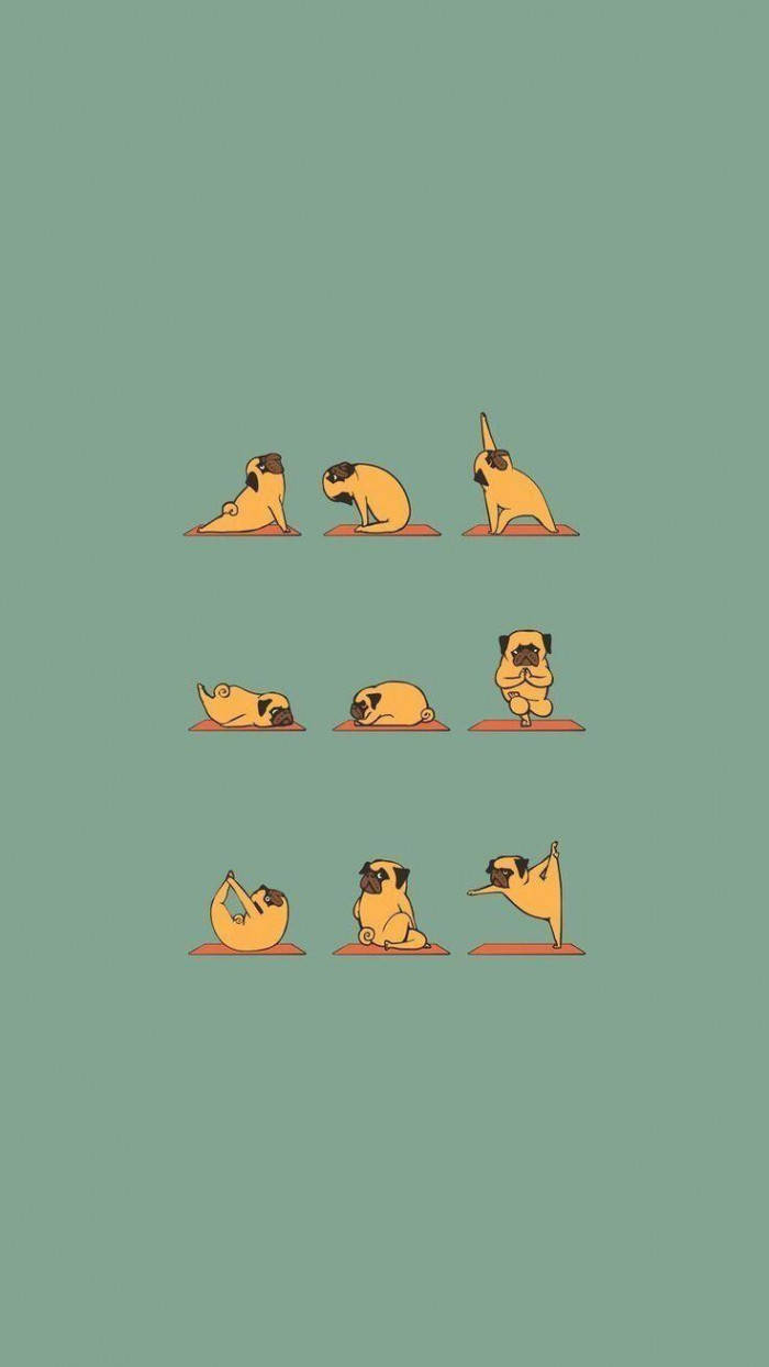 Cute Pug Yoga Funny Phone Wallpaper