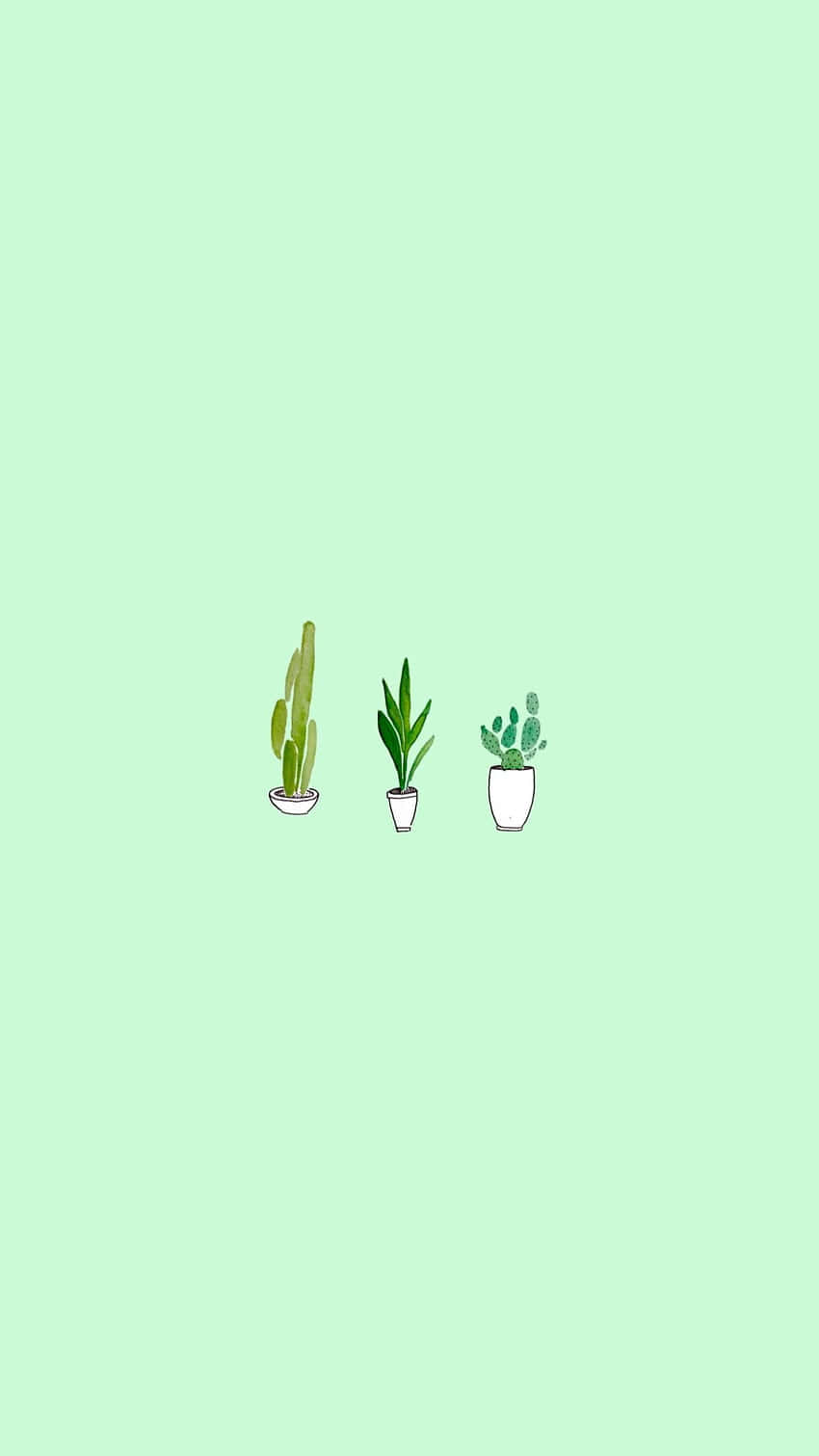 Cute Sage Green Cactus And Two House Plants Wallpaper