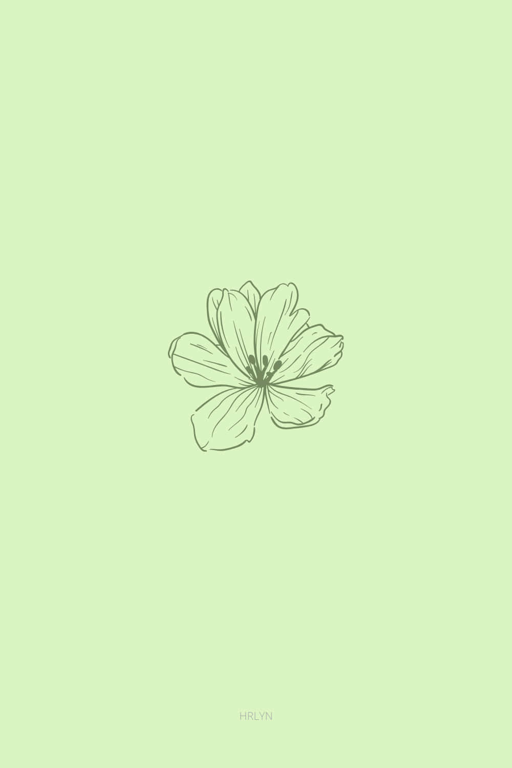 Cute Sage Green Flower Drawn On The Center Wallpaper
