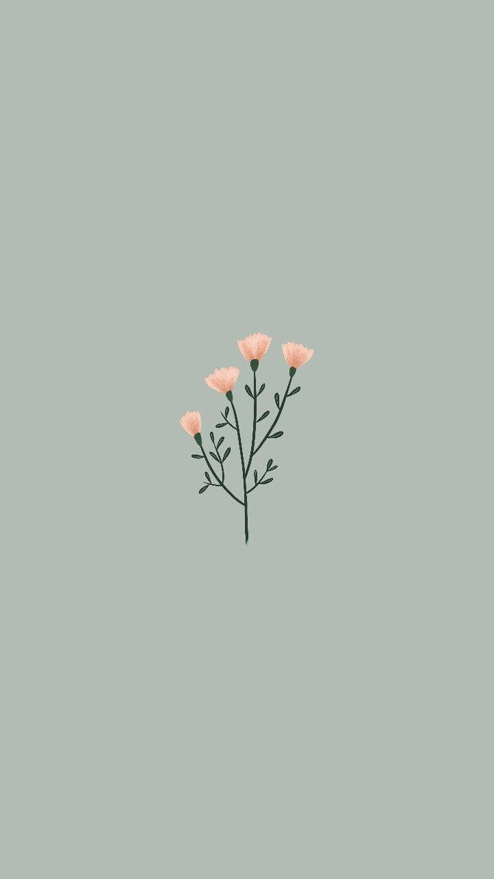 Cute Simple Pink Flowers Wallpaper