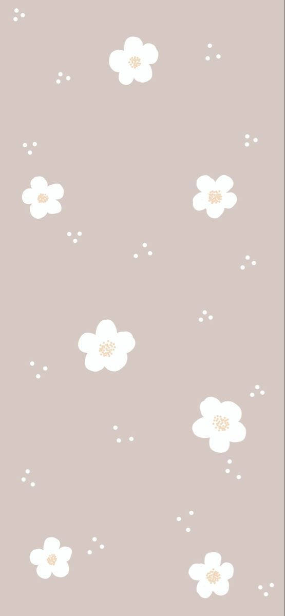Cute Simple White Flowers Without Stems Wallpaper