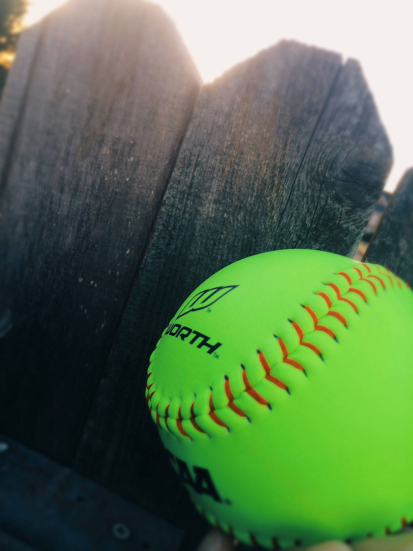 Cute Softball In Backyard Wallpaper