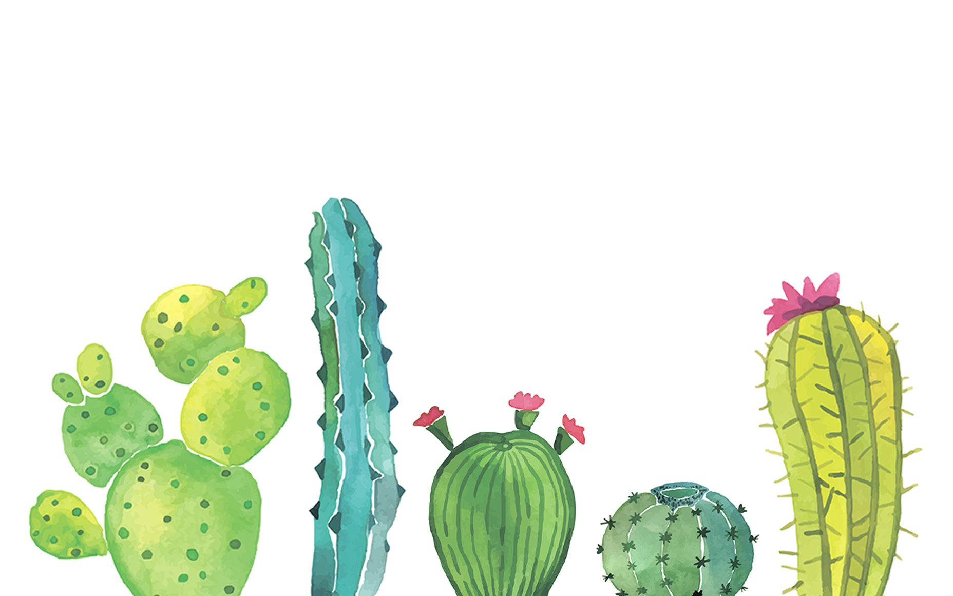 Cute Watercolor Cactus Wallpaper
