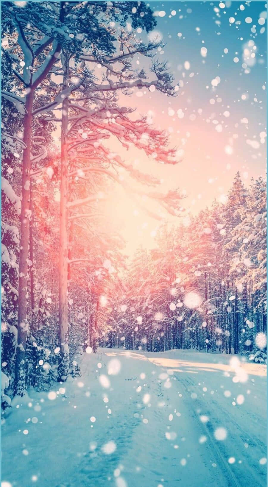 Cute Winter Aesthetic 900 X 1636 Wallpaper Wallpaper