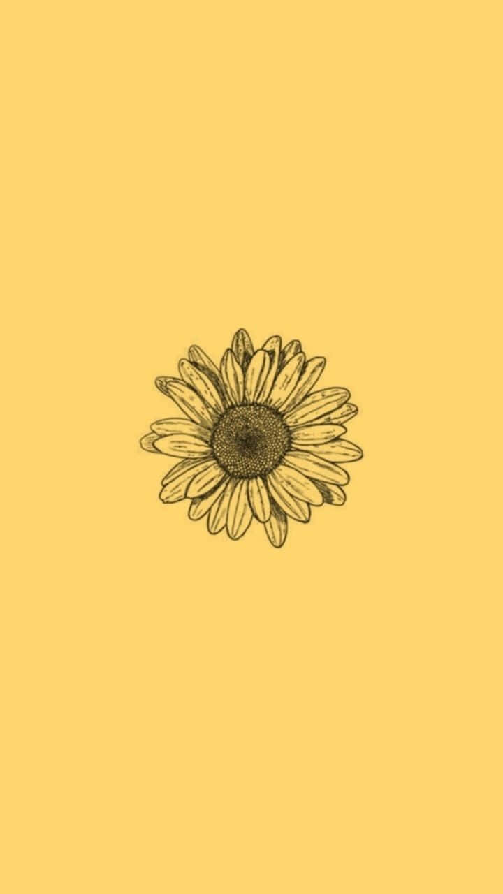 Cuteness Of Nature - A Lovely Sunflower Wallpaper
