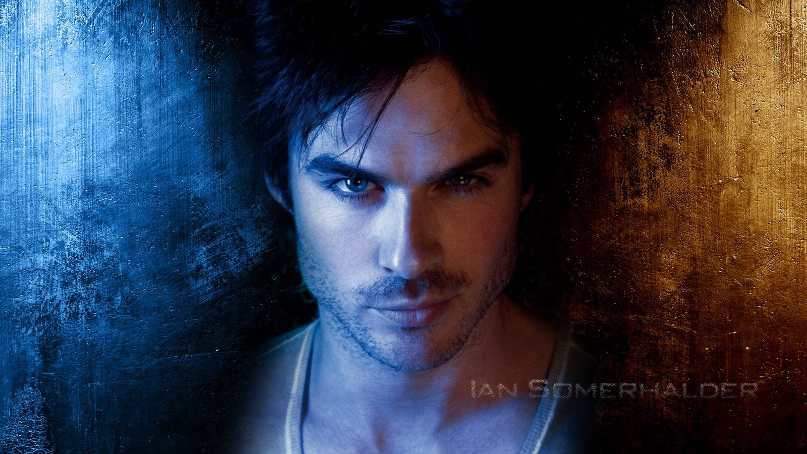 Damon Salvatore Fanart Wallpaper