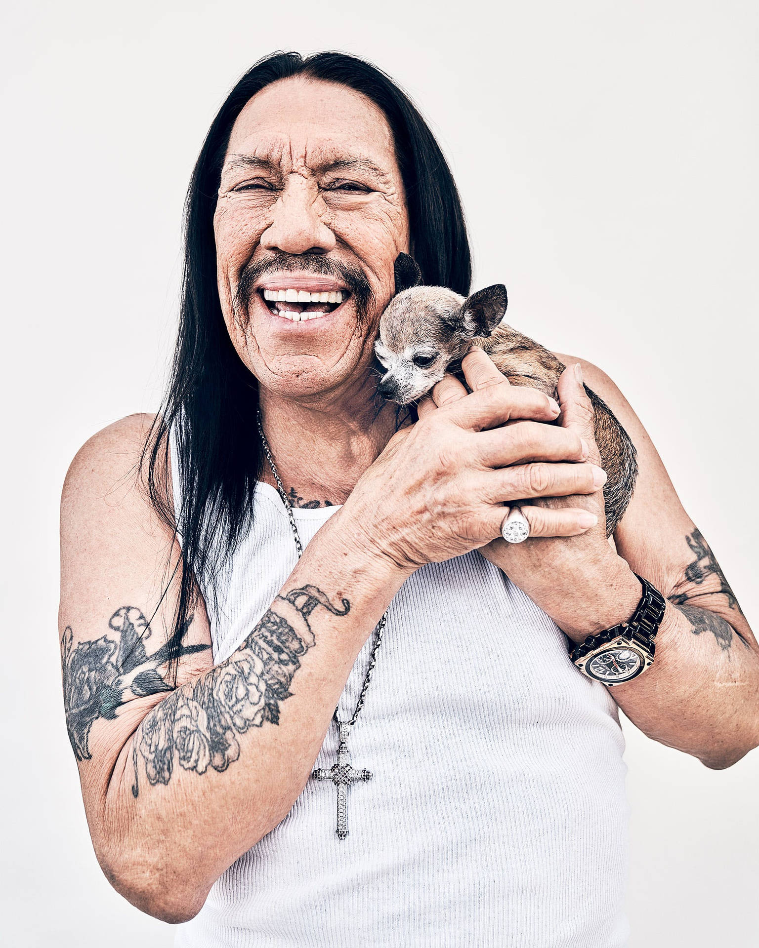 Danny Trejo With Chihuahua Puppy Wallpaper