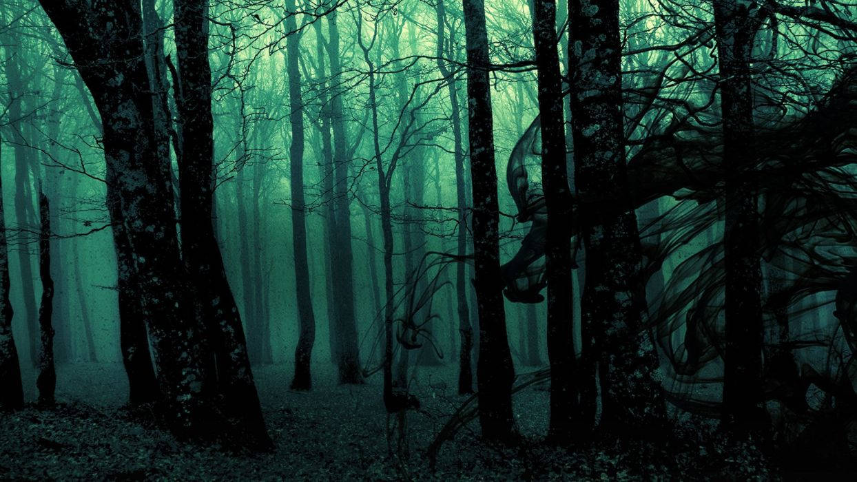 Dark Ghost Gothic Wood Trees Fantasy Evil Horror Wallpaper Wallpaper