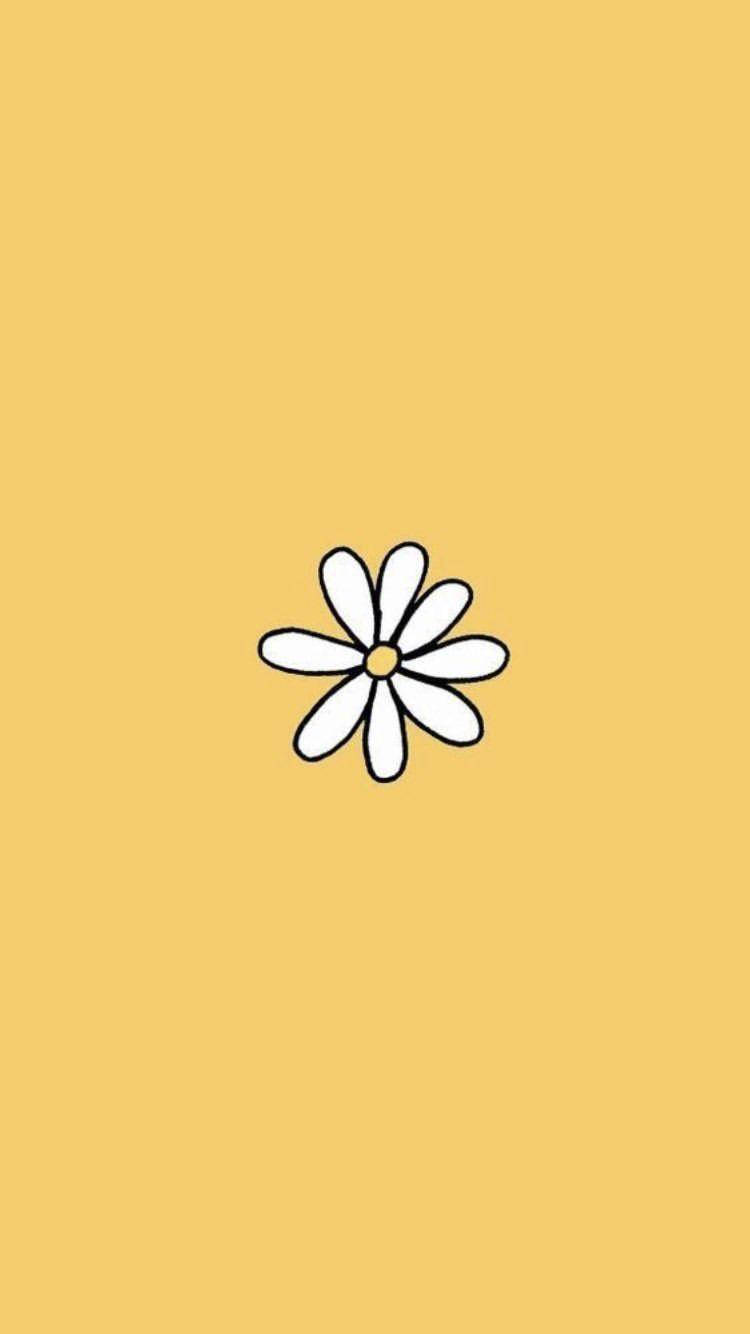 Dasiy For Cute Yellow Phone Background Wallpaper