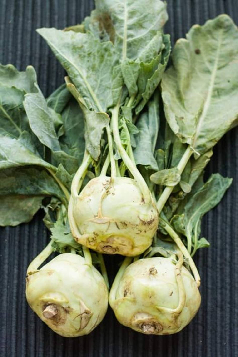 Decaying Kohlrabi Vegetables Wallpaper