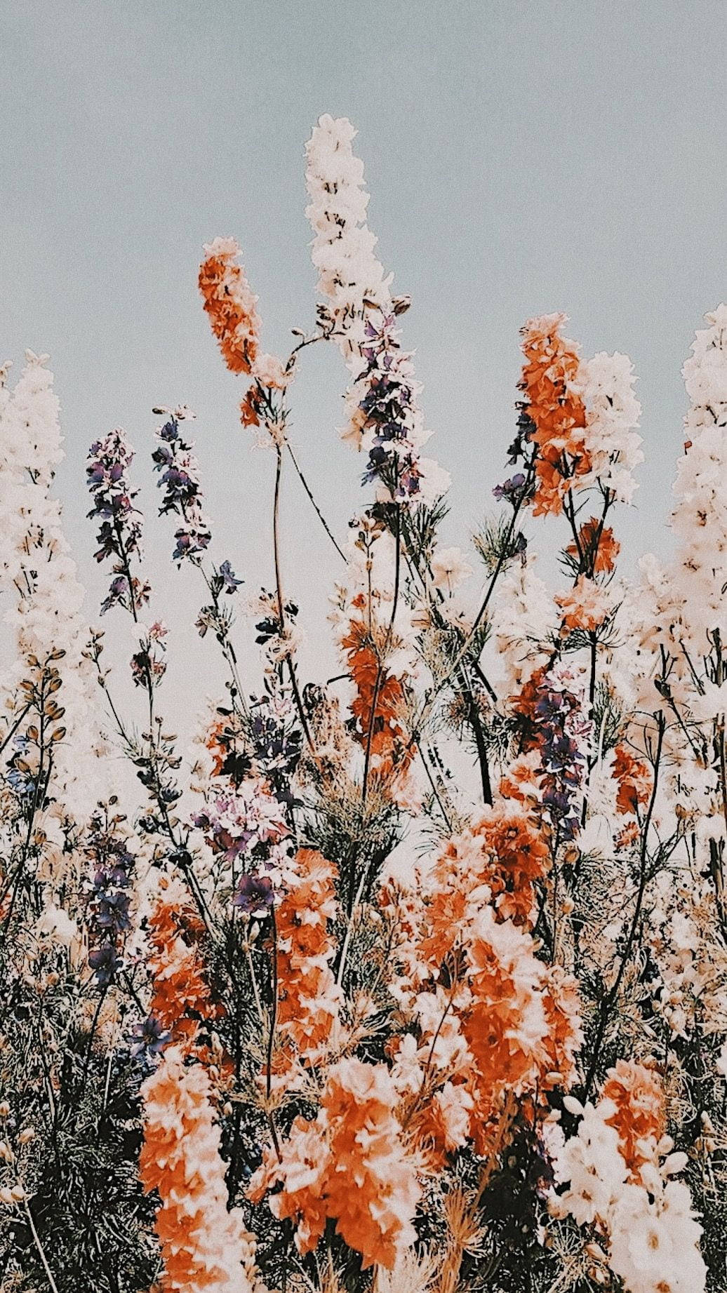 Desaturated Flowers Aesthetic Wallpaper