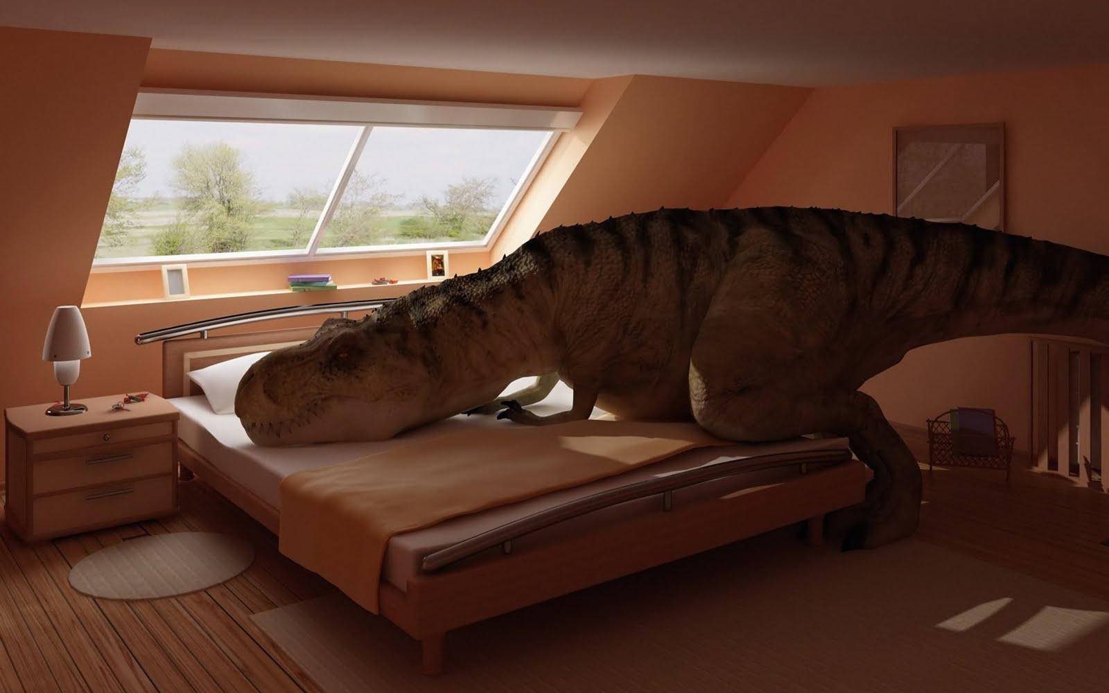 Dinosaur Resting Bed Funny Laptop Wallpaper