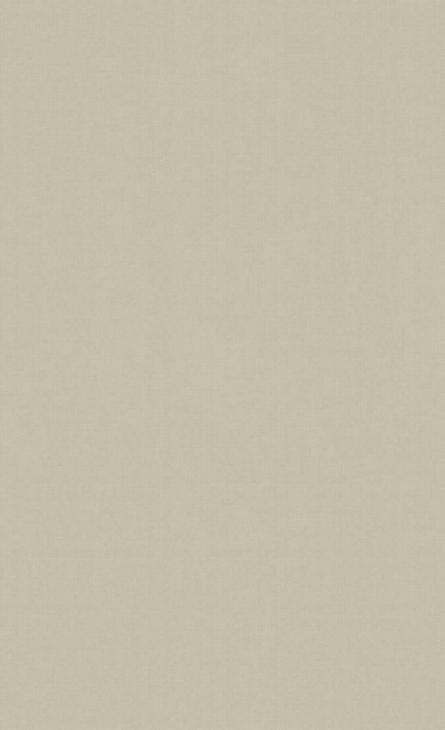 Dirty White Neutral Background Wallpaper