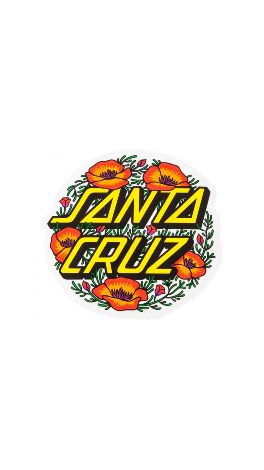 Discover The Magic Of Santa Cruz Wallpaper