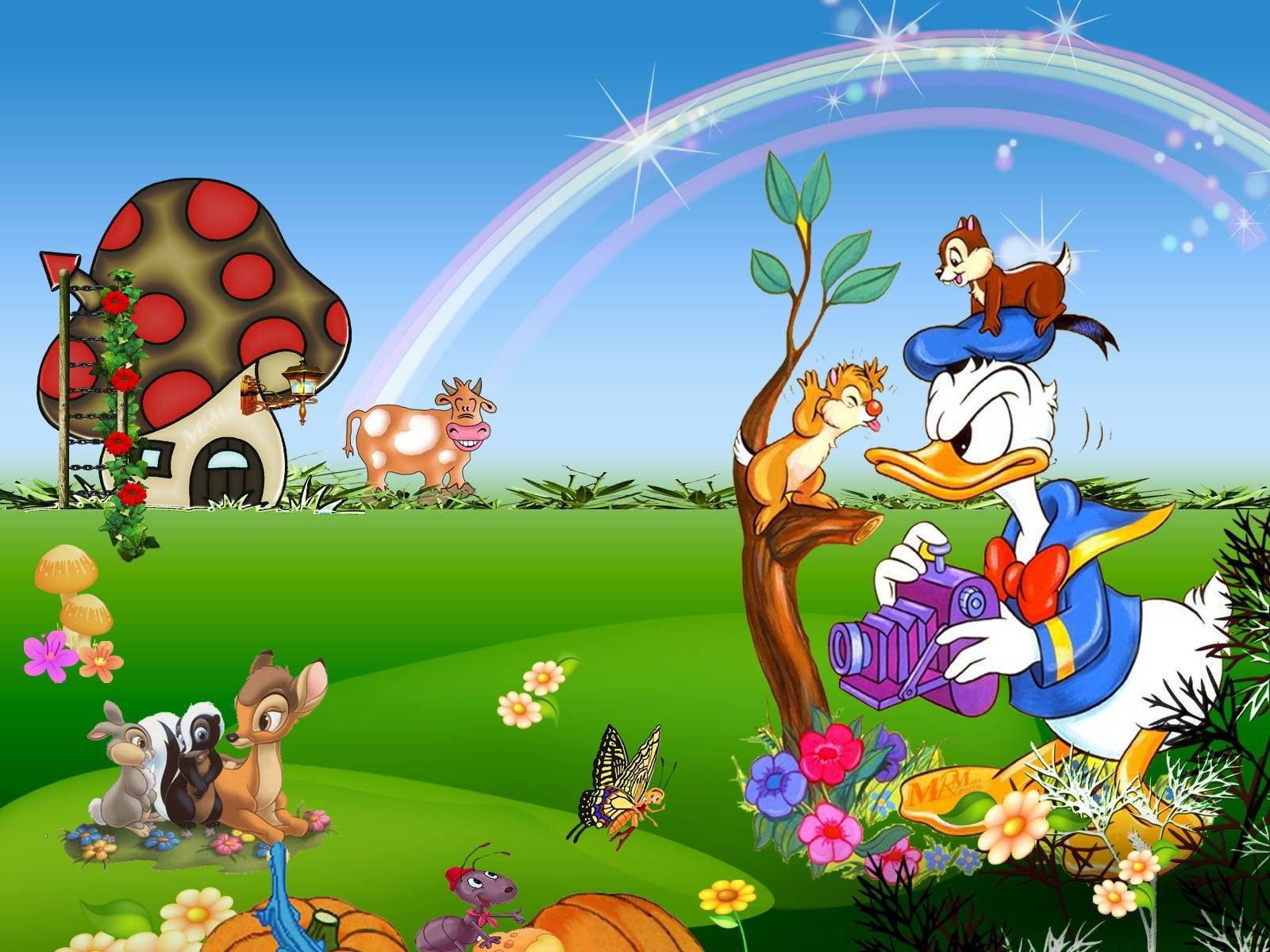 Disney Cartoon Donald Duck Wallpaper
