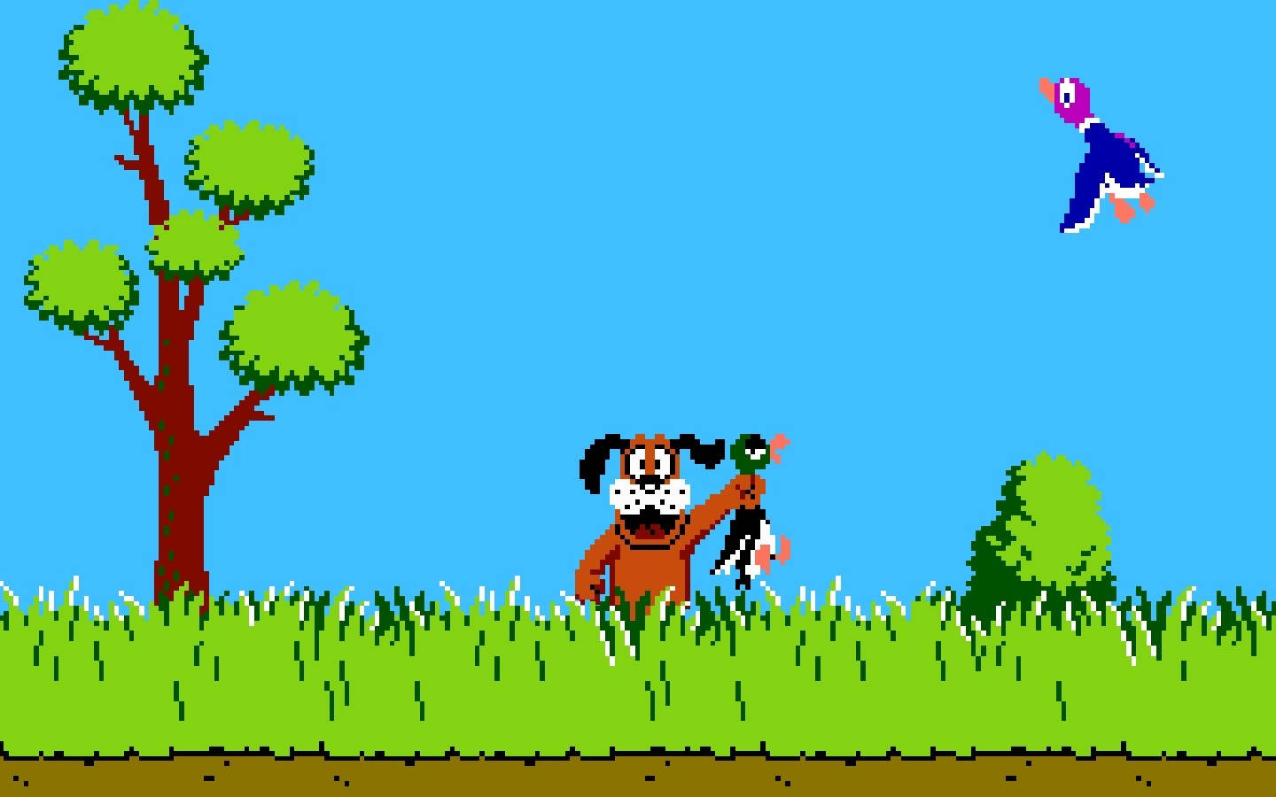 Duck Hunt Regular Shot Wallpaper