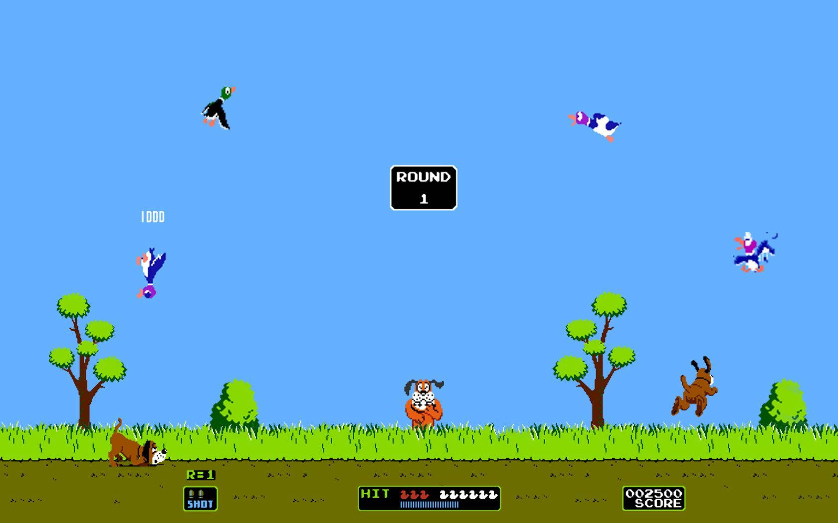 Duck Hunt Round 1 Wallpaper