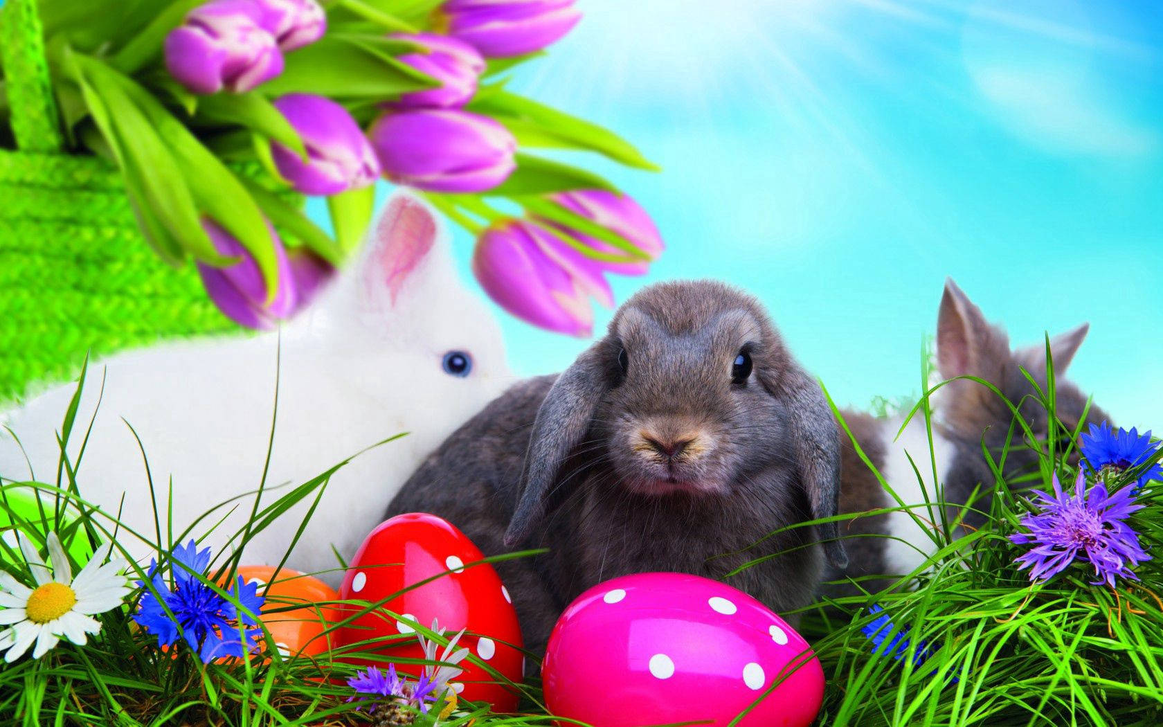 Easter Eggs And Cute Bunnies Wallpaper
