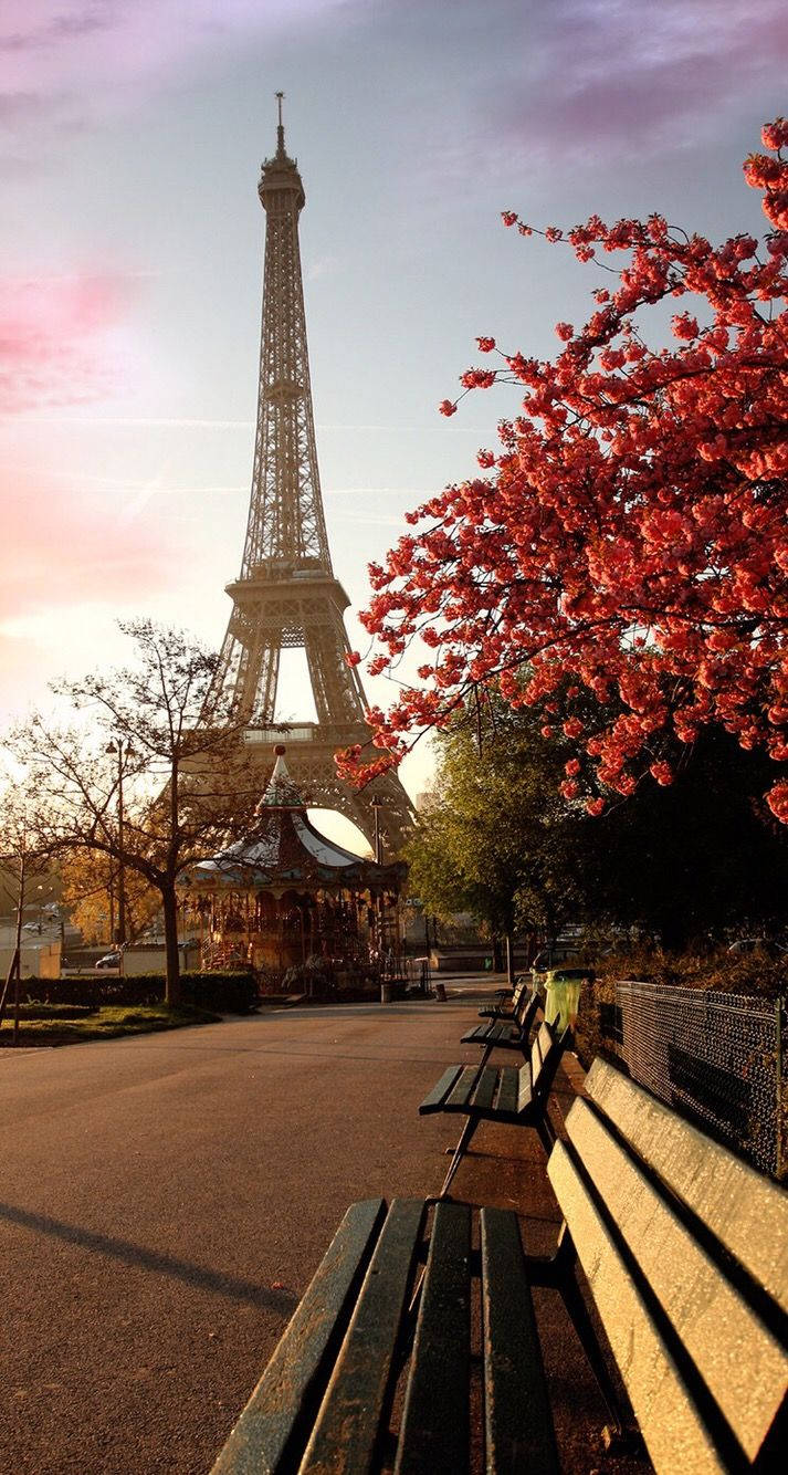 Eiffel Tower Fall Iphone Wallpaper