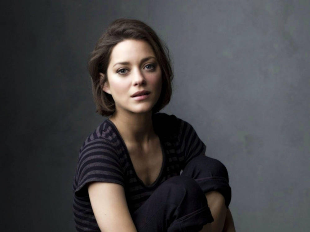 Elegant Marion Cotillard, French Actress Wallpaper