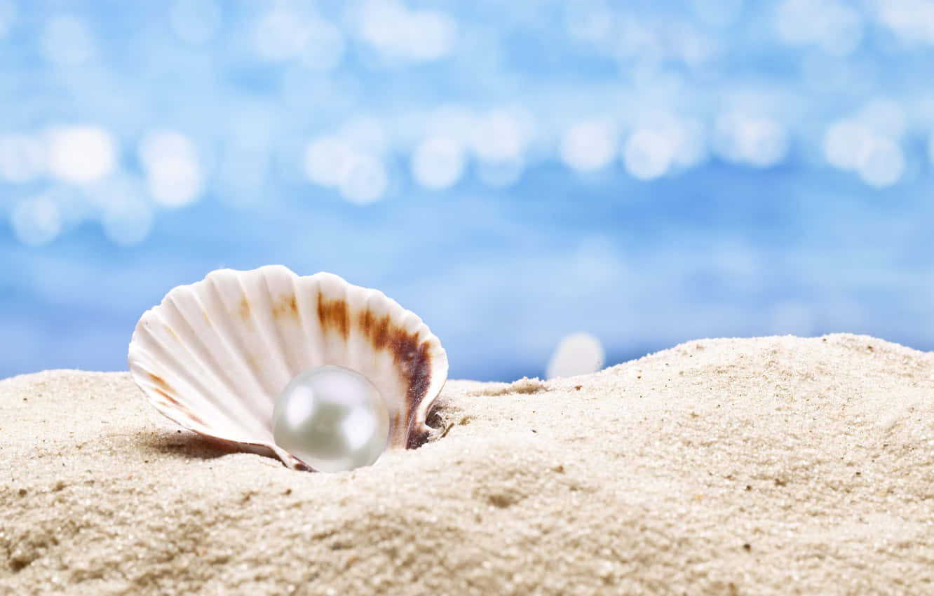 Elegant Seashell With A Precious Pearl Wallpaper