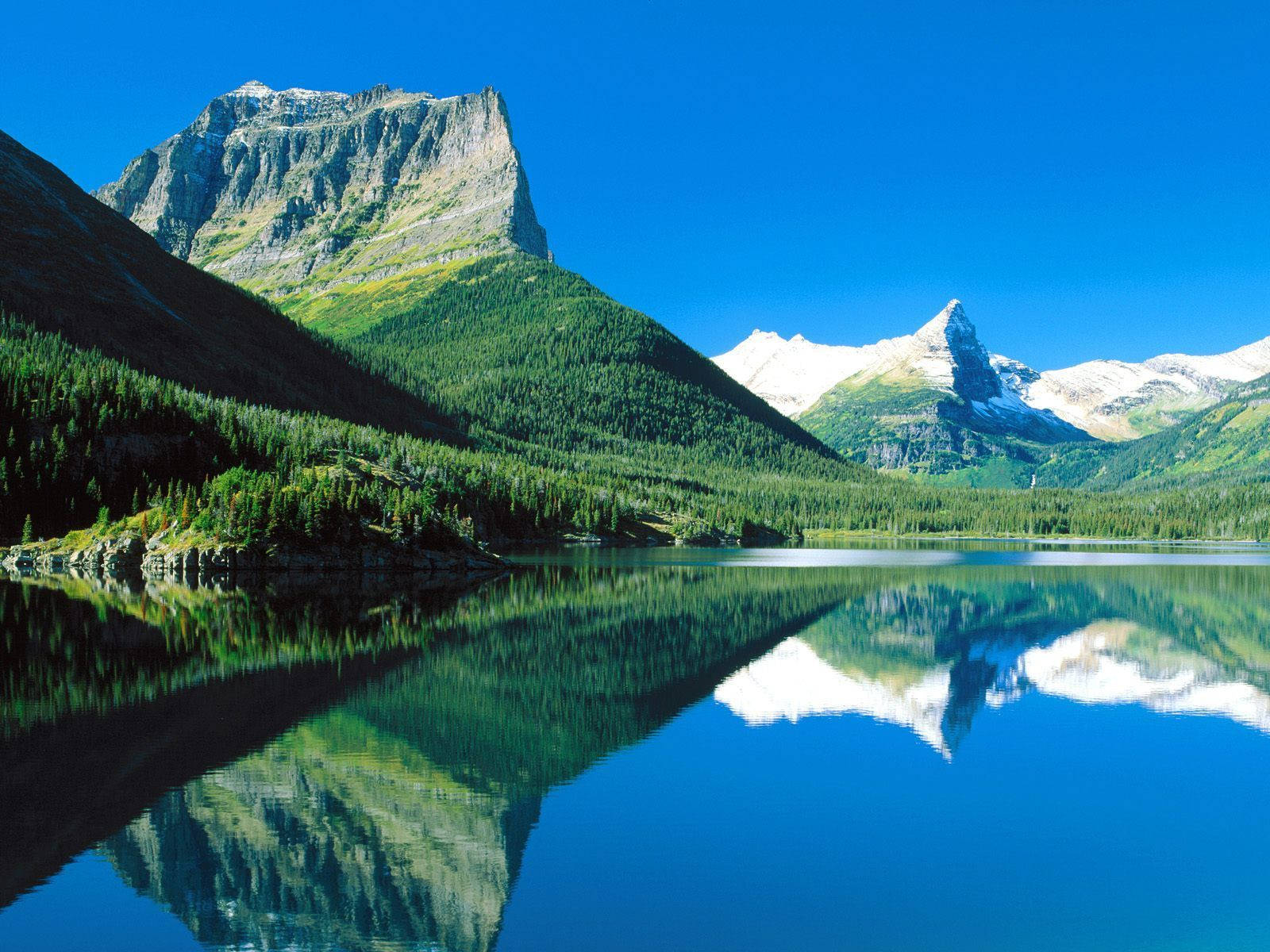 Elements Of Glacier National Park Wallpaper