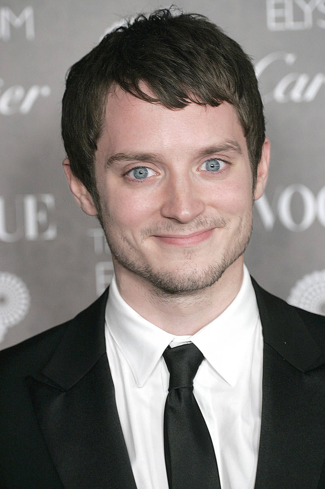 Elijah Wood Headshot Wallpaper