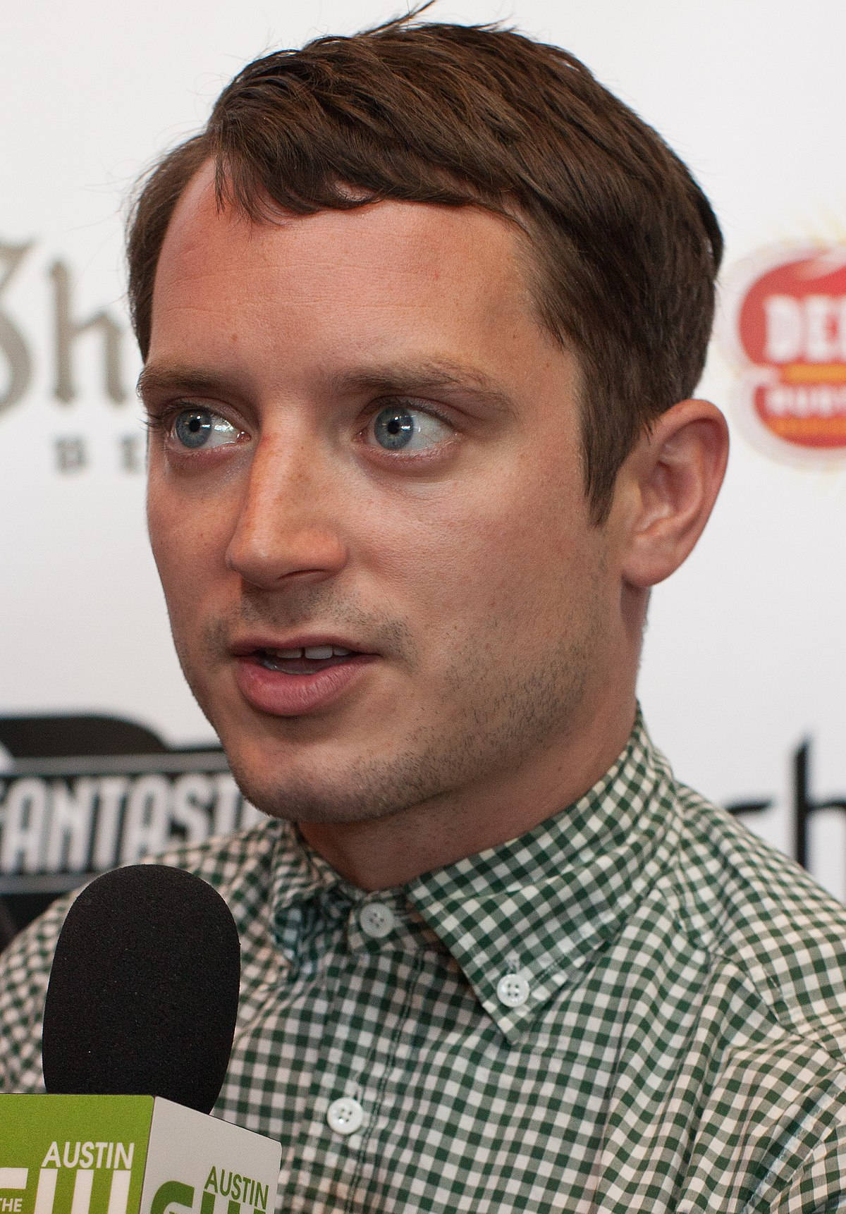 Elijah Wood In An Interview Wallpaper