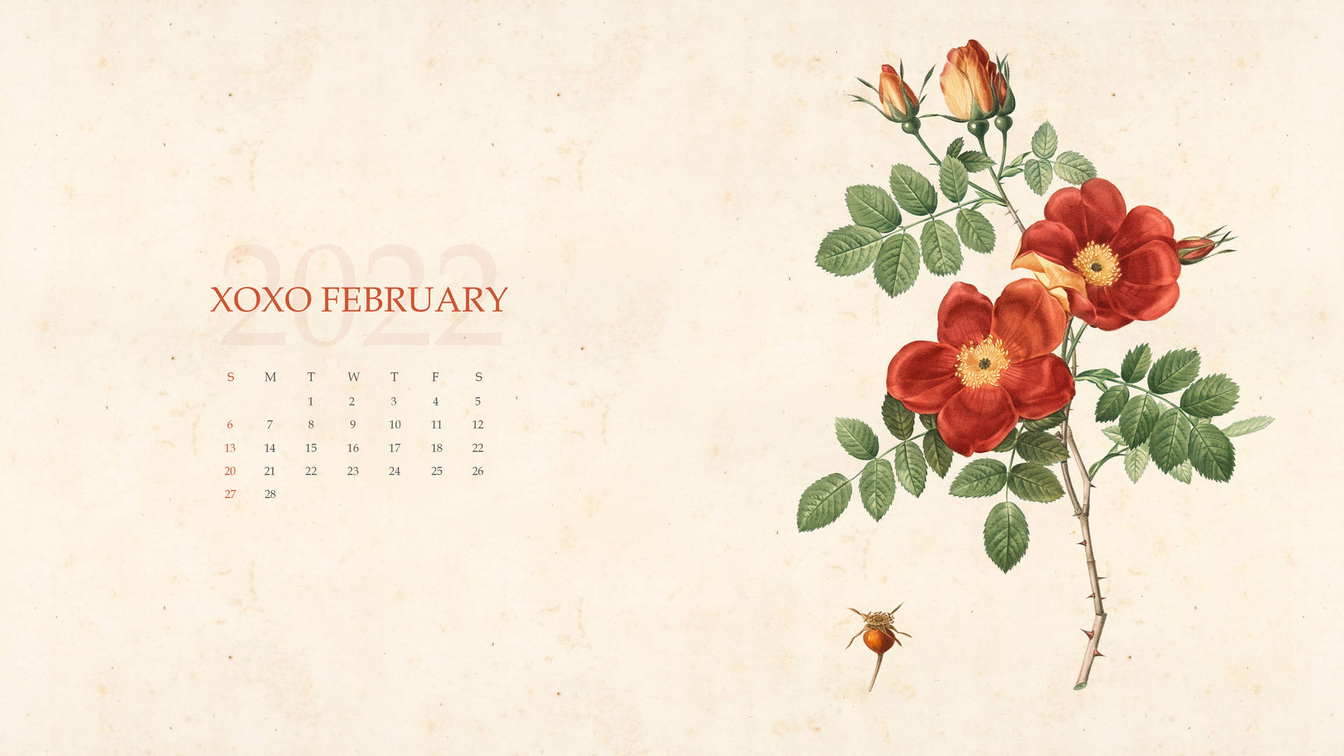Embrace The Love Of February With Xoxo Calendar 2022 Wallpaper