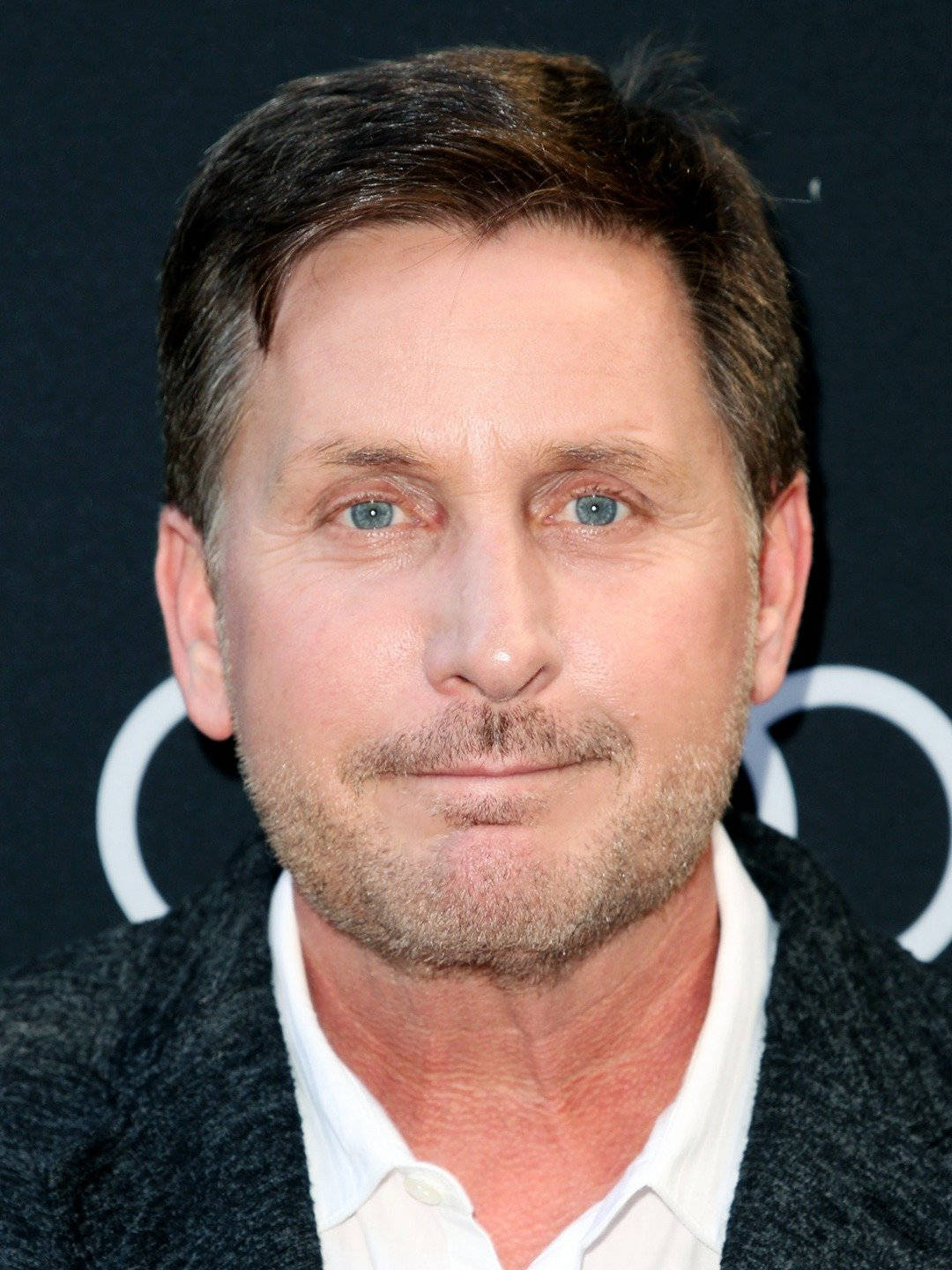 Emilio Estevez At Hamptons International Film Festival 2018 Wallpaper