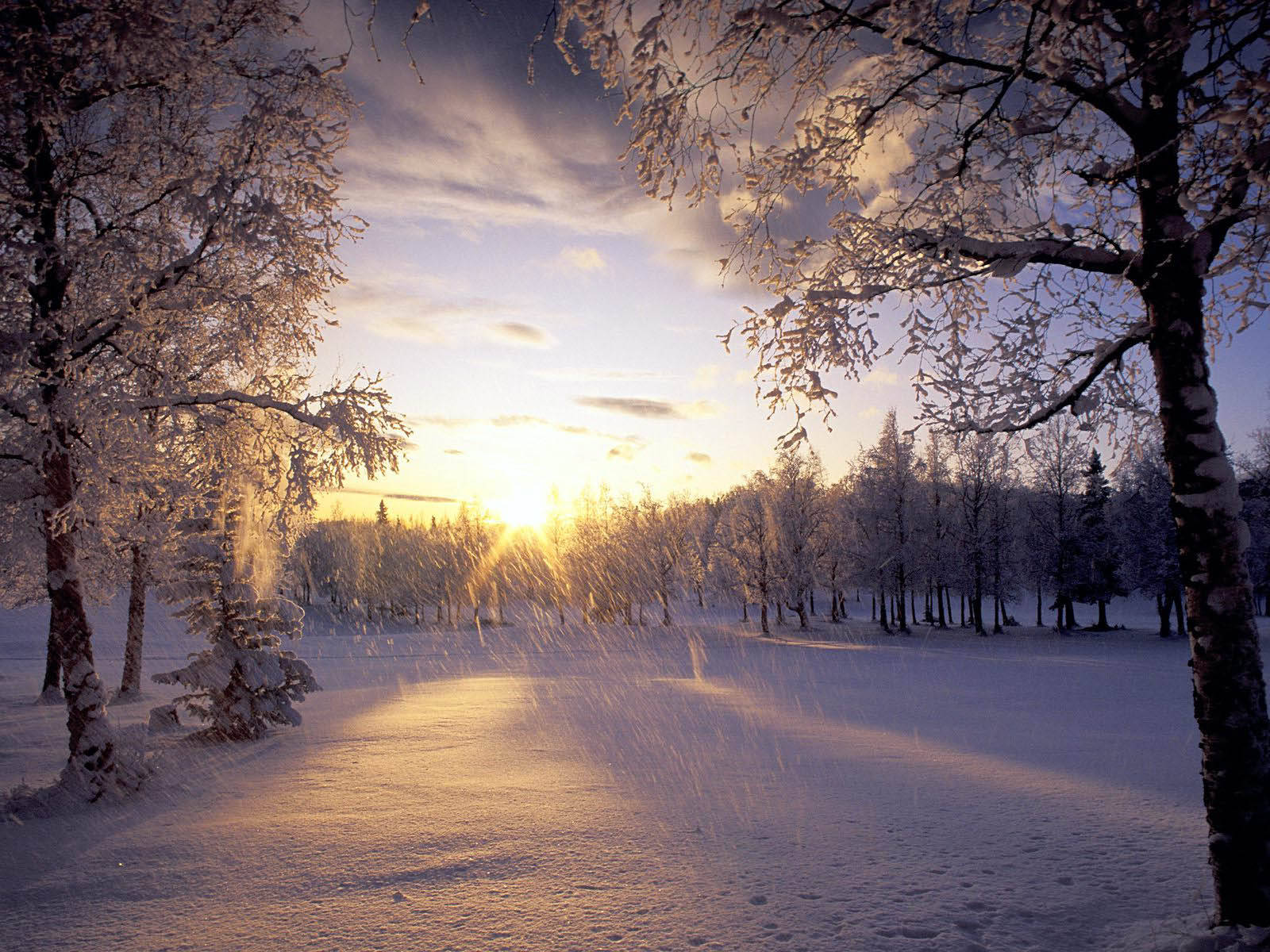 Enchanting Display Of Morning Glory Amidst Snow-covered Forest Wallpaper