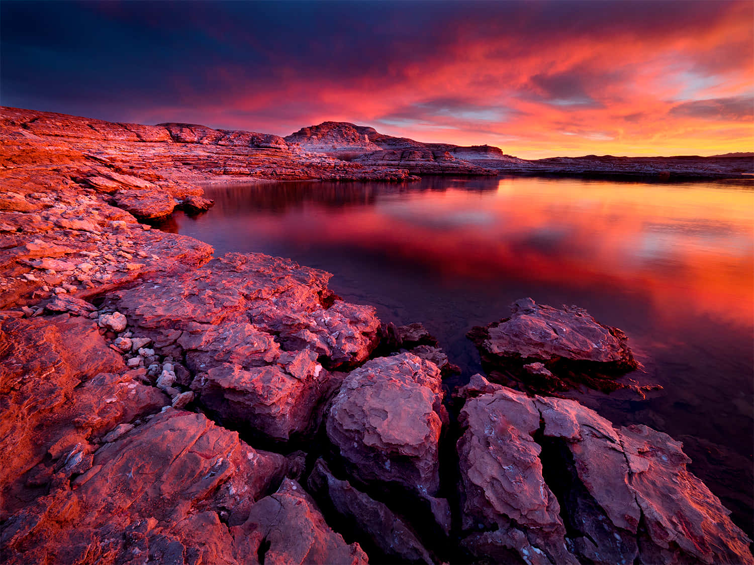 Endless Possibilities With Google Wallpaper