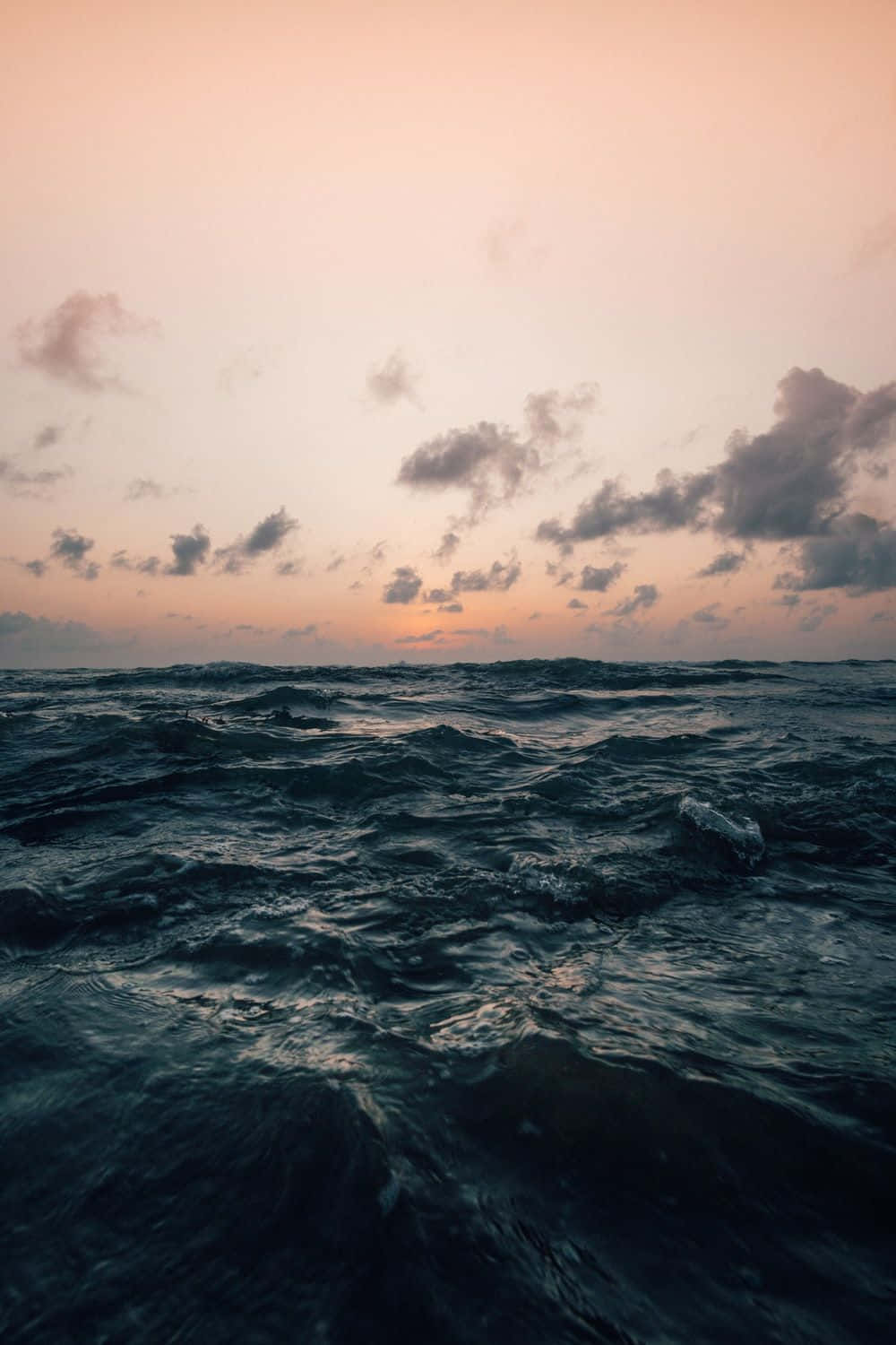 Enjoy The Beauty Of Nature On Your Ipad Wallpaper