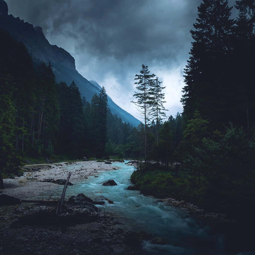 Enjoy The Beauty Of Nature On Your Ipad Wallpaper