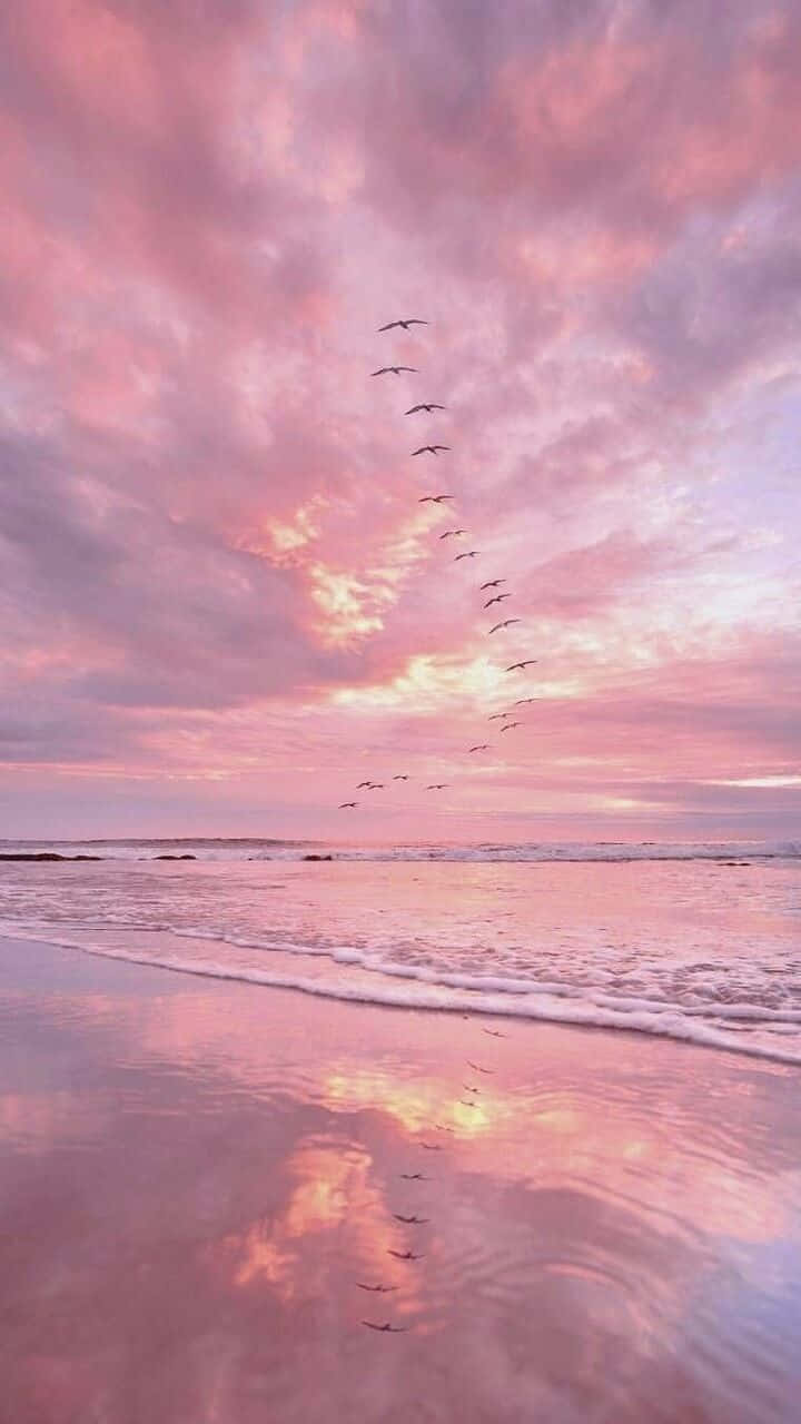 Enjoy The Bliss Of Summer In Pink Wallpaper
