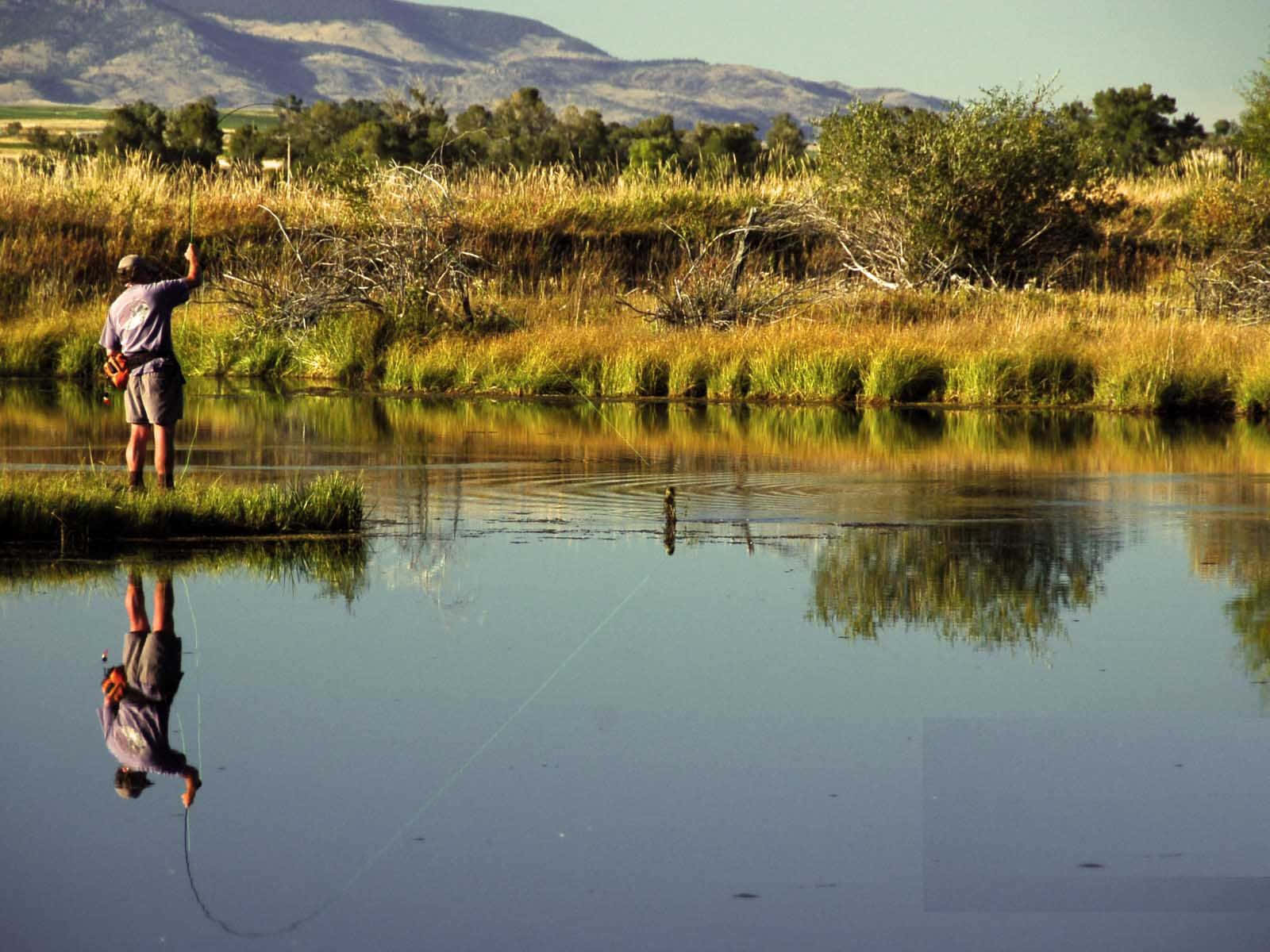 Enjoying The Peaceful View Of Fly Fishing In The Mountains Wallpaper