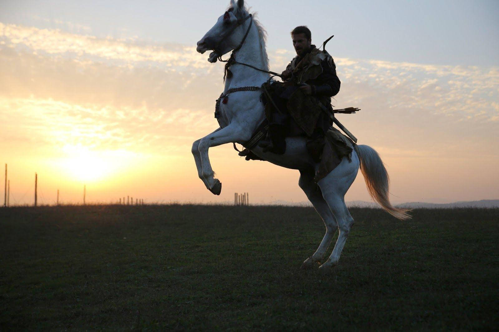 Ertugrul Gazi Standing Horse Wallpaper