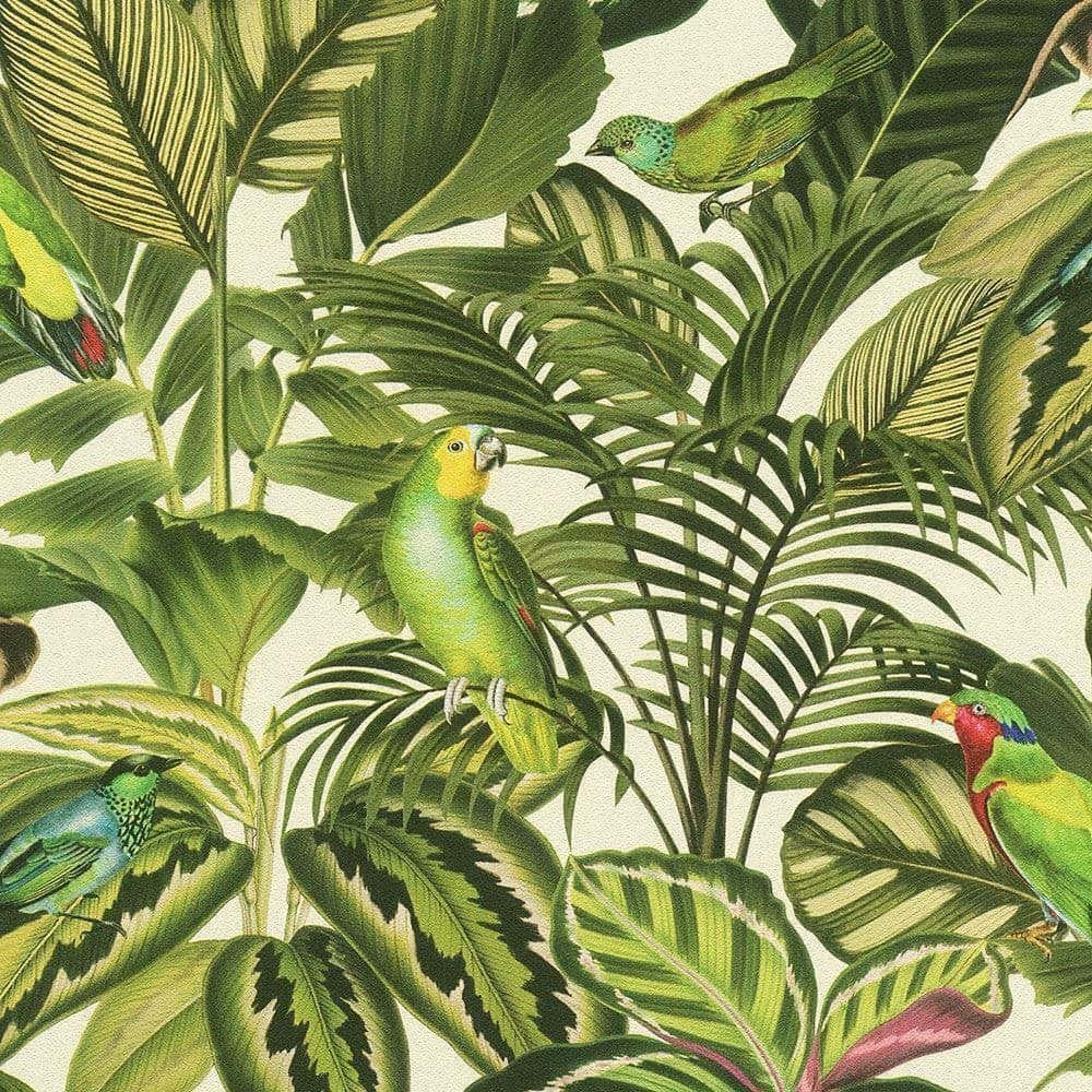 Exotic Green Bird [wallpaper] Wallpaper