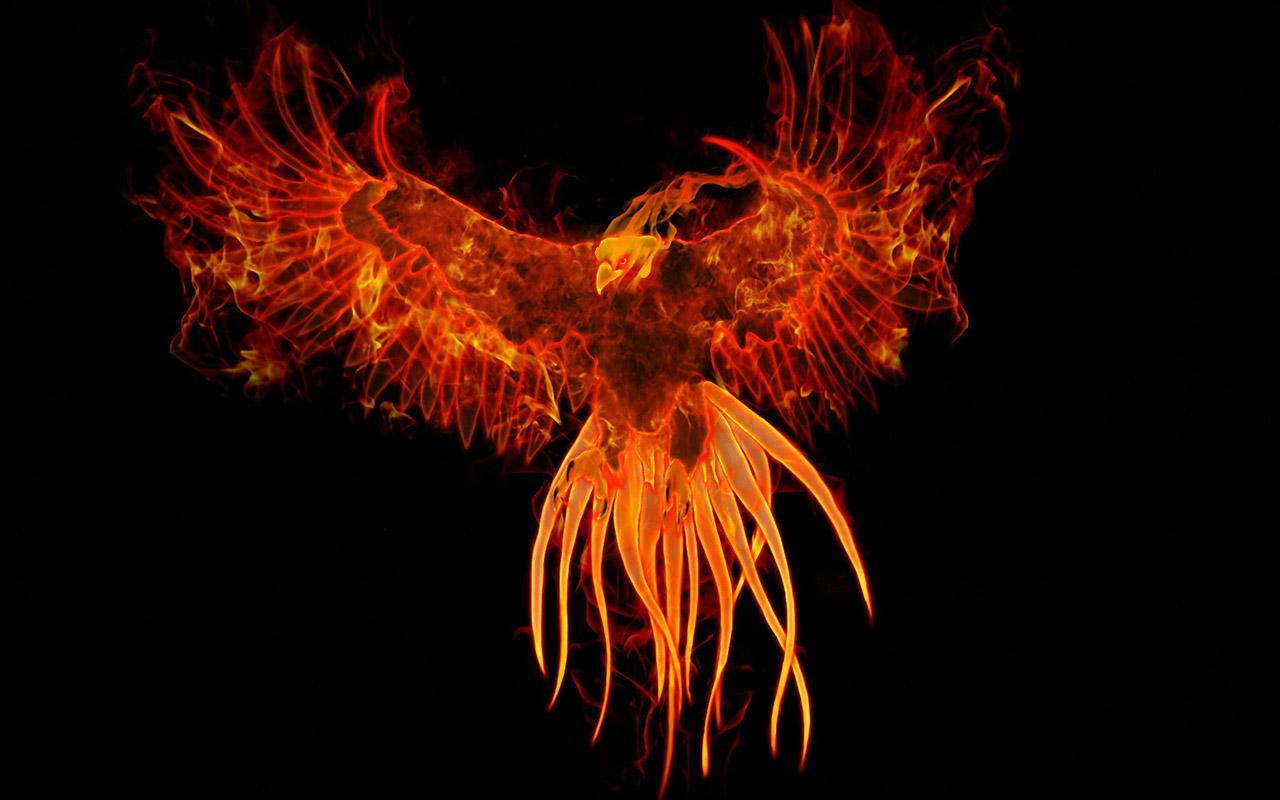 Experience The Fiery Sight Of The Mighty Phoenix Wallpaper
