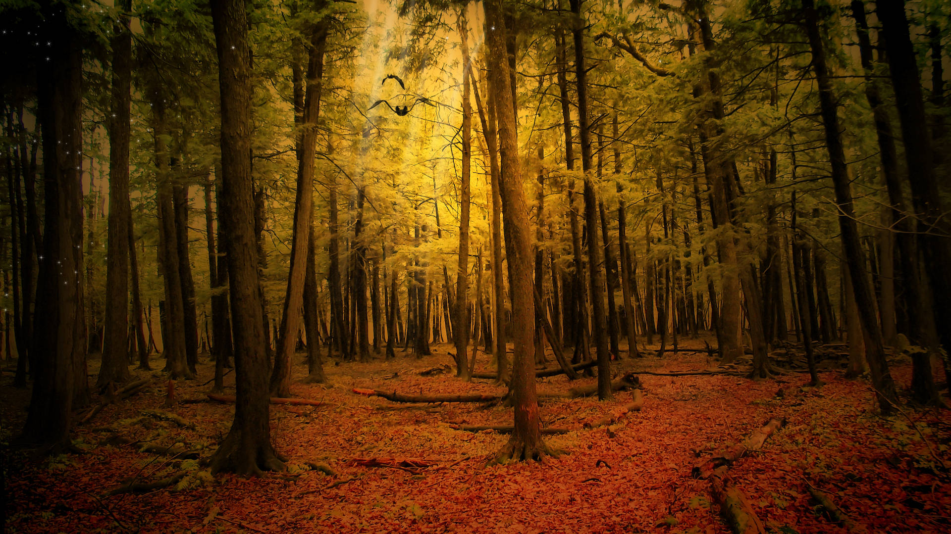 Explore The Golden Beauty Of Autumn In This Magical Forest. Wallpaper