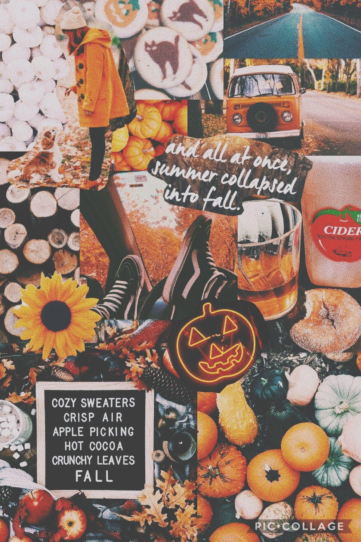 Fall Aesthetic Iphone Van Menu Collage Wallpaper