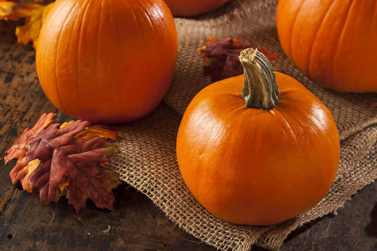 Fall Pumpkins Display On A Haystack Wallpaper