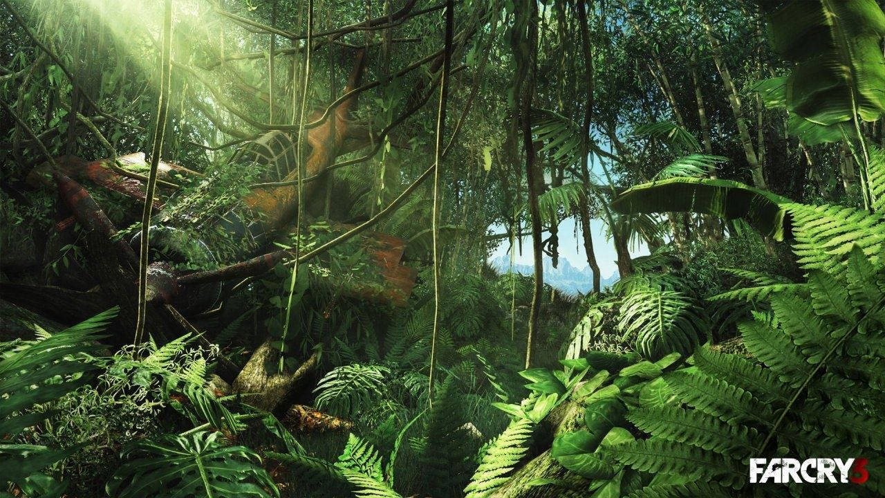 Far Cry 3 Game Jungle Wallpaper