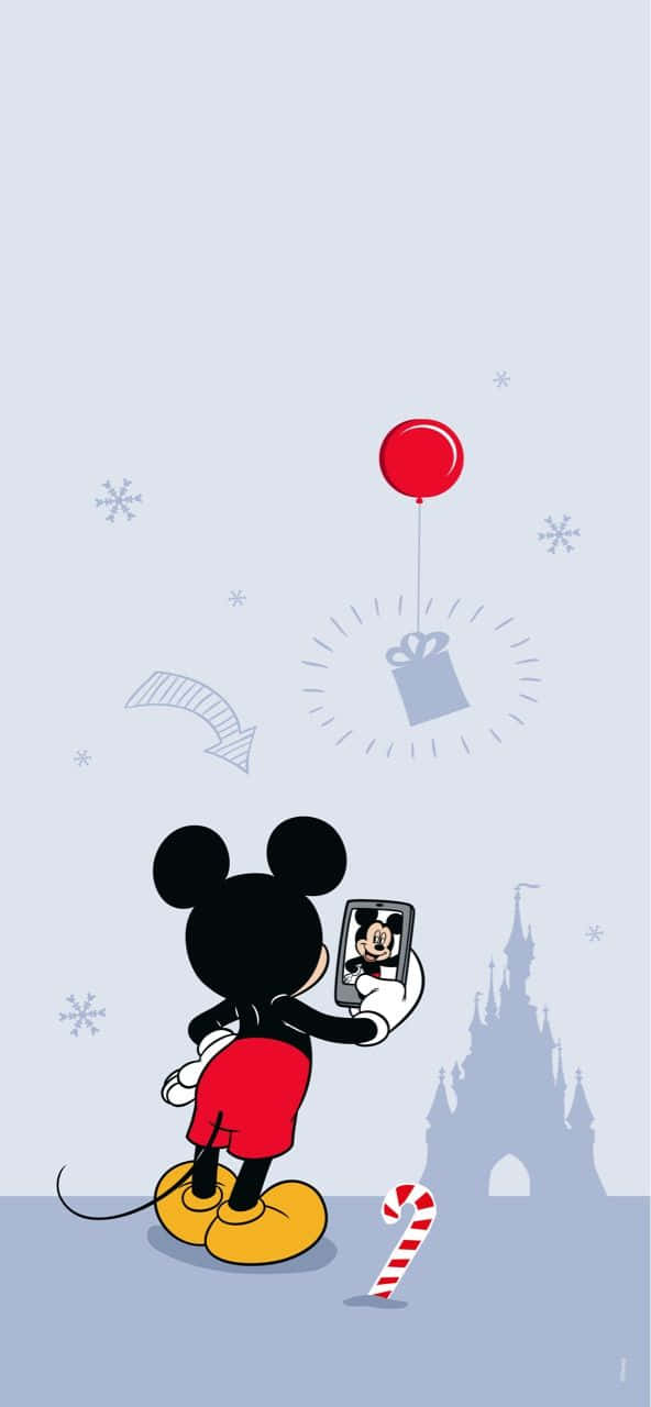 Feeling Cool As Can Be Wallpaper
